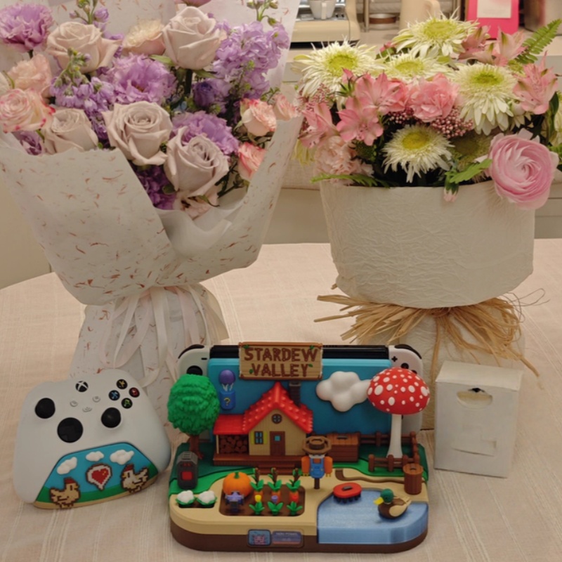 Switch Dock Stardew Valley Far - Gaming Consoles ulasan dan harga